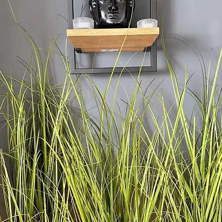 Evelin's Apartament *